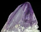 Amethyst Crystal Point - Brazil #64750-1